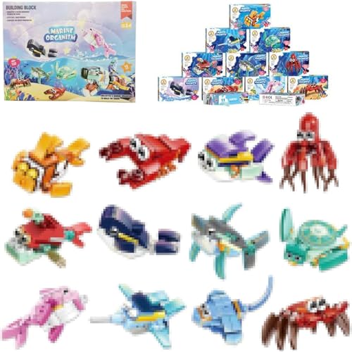 Imagen de JOYVOVO 12pcs Regalo Cumpleaños Niños