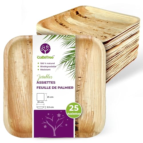 GoBeTree 25 Assiettes Feuille de Palmier Jetables Carrées 25x25 cm Plat. Vaisselle Jetable Élégante pour Plat Principal, Ceviche et Buffet Plate Similaire au Bambou...