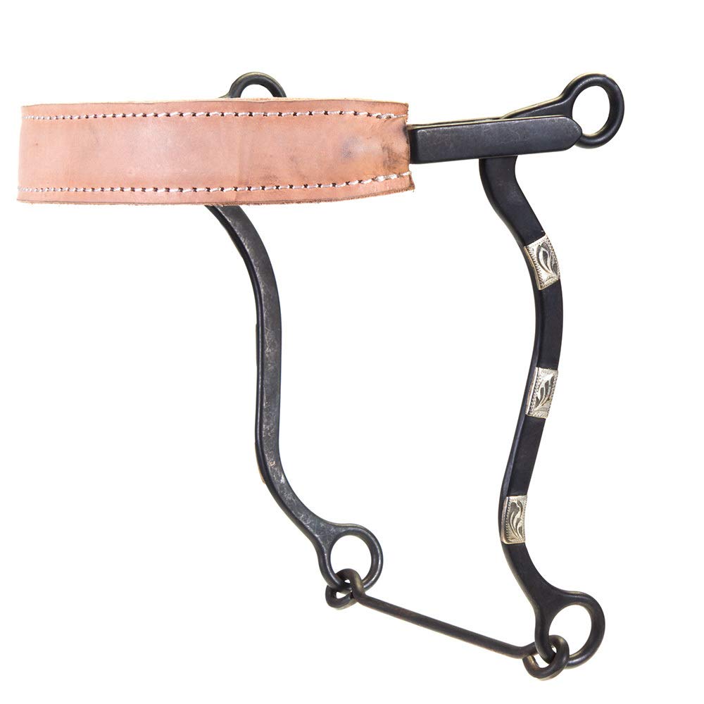 Flat Leather Noseband Hackamore Bit
