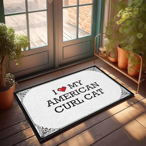 Tapis de porte extérieur chat American Curl pour stopper la boue - 2
