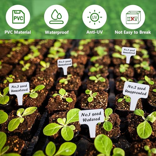 100er Set wetterfeste Pflanzenschilder, kräuterschilder, schilder pflanzen beschriftung, Bringen Sie einen weißen Marker mit. Geeignet für Gärten, Obstgärten oder Bauernhöfe