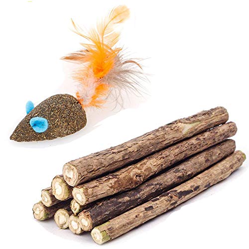 Best Chew Toys for Kittens in 2020 (with Reviews!)