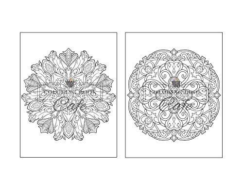 51rsK7EhEDL. SL500  - 125 Mandalas: An Adult Coloring Book Featuring 125 of the World&rsquo;s Most Beautiful Mandalas for Stress Relief and Relaxation (Mandala Coloring Books)