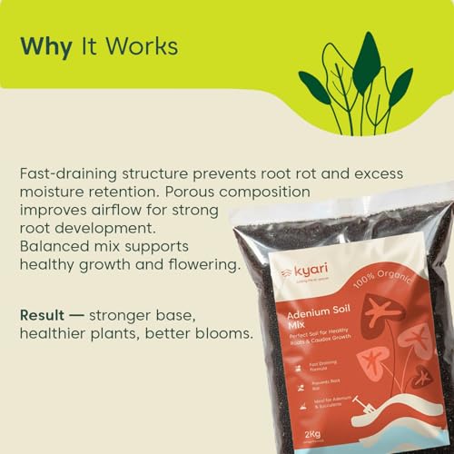 Image of KYARI Adenium Soil Mix 2 kg | Well-Draining Potting Mix for Desert Rose, Cactus & Succulents | Ready to Use | No Amendments Needed