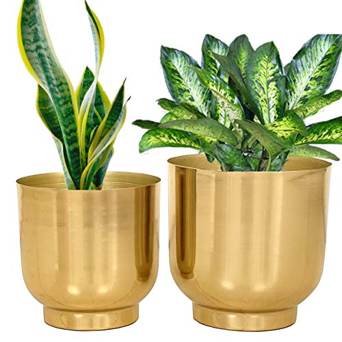 ecofynd 2 Pack Eva Metal Plant Pots (8 inch, 9 inch) | Indoor Planter Flower Pots with Drainage Hole | Home Garden Decor Planter for Living Room Bedroom Interior (Gold Finish) ecofynd 2 Pack Eva Metal Plant Pots (8 inch, 9 inch) | Indoor Planter Flower Pots with Drainage Hole | Home Garden Decor Planter for Living Room Bedroom Interior (Gold Finish)