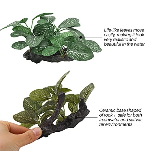 Naoedeah Silk Aquarium Plants For Betta Fish Reptile Terrarium 3 Pcs Plastic Floating Fake Fish Tank Plant Decorations Accessories Small Artificial Underwater Aquatic Water Grass #TOP3