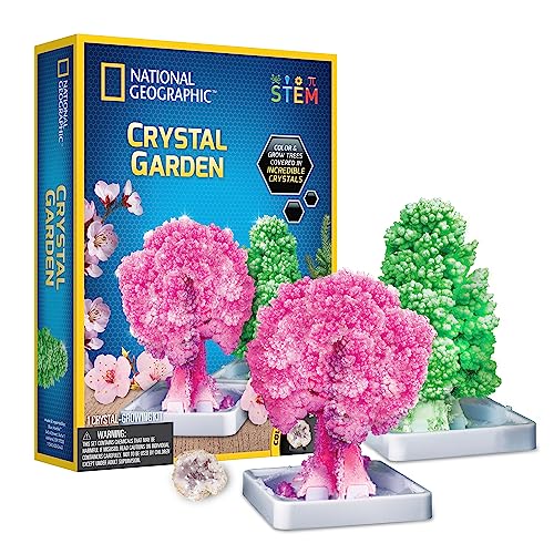 National Geographic Kristall-Garten-Anzucht-Set für Kinder – pädagogische Wissenschafts-Sets für Kinder ab 8 Jahren, wachsen echte Rosenquarz-Kristallbäume, Mint-Geschenke für Jungen und Mädchen ab 8