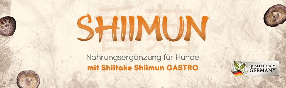Bellfor Shiimun Gastro - Dietary Supplement for Dogs with Shiitake to Support Normal Digestive Function - 50 g - Image 2