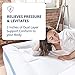 ViscoSoft Pillow Top Latex Mattress Topper Queen - Made in USA Serene 3 Inch Gel Latex Mattress Pad and Cover