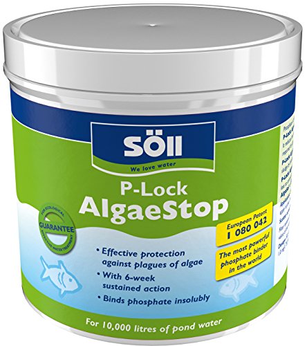 Söll p-Lock algaestop