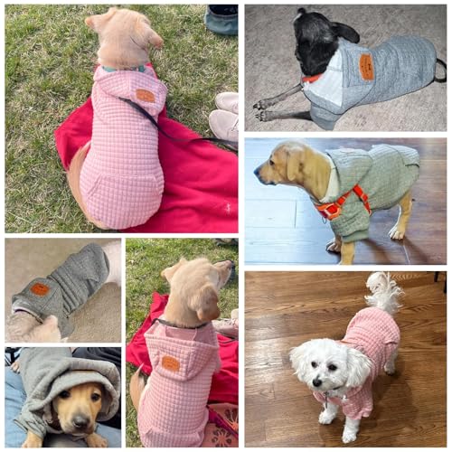 Image of BEAUTYZOO Small Dog Hoodie Sweater with Pockets, Dog Clothes for Small Medium Dogs Boy Girl, Waffle-like Laminated Cotton Pet Coats with Hat and Leash Hole, All Weather Coat for Puppy Doggie Chihuahua | Warm Dog Sweatshirt with Pocket & Leash Hole,Pullover Clothes for Girl Boy Dogs & Cats,Stretchy & Easy‑On‑Off,Chihuahua Puppy