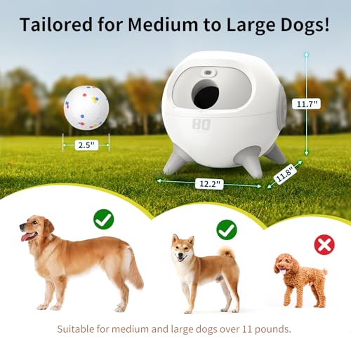 uahpet iRetriever Dog Ball Launcher with 4Pcs Balls, Automatic Obstacle Avoidance Dog Ball Launcher Suitable for Medium & Large Dogs