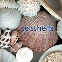 Algopix Similar Product 10 - Seashells