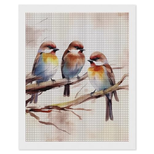 Peinture diamant oiseaux 5D kit complet broderie diamant strass carré adulte