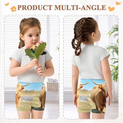 Joisal Under Dress Shorts Funny Cotton Toddler Girls Biker Shorts 4t Baby Kids Scottish Highland Cow Field4