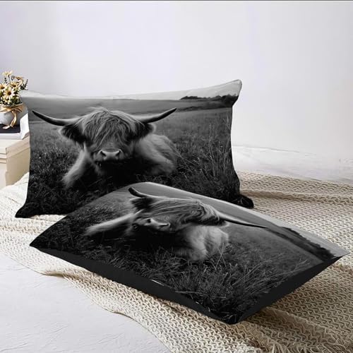 Linge de lit imprimé Highland Cattle 200x200 parure grise avec zip - 7