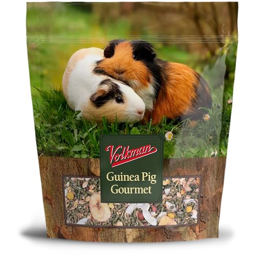 Volkman Small Animal Guinea Pig Gourmet 4lb