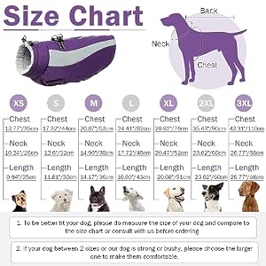 Dog Jackets for Medium Dogs, Reflective Dog Winter Coat, Dog Cold Weather Coats, Warm Dog Clothes, Waterproof Dog Puffer Jacket, Dog Coats Schnauzer Pug Jack Russel Boston Terrier, Purple M Dog Jackets for Medium Dogs, Reflective Dog Winter Coat, Dog Cold Weather Coats, Warm Dog Clothes, Waterproof Dog Puffer Jacket, Dog Coats Schnauzer Pug Jack Russel Boston Terrier, Purple M