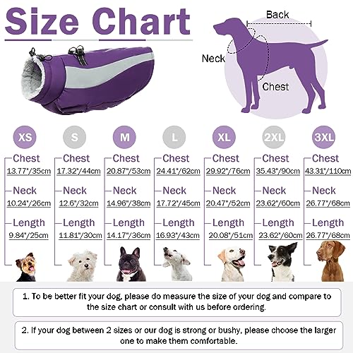 Dog Jackets for Medium Dogs, Reflective Dog Winter Coat, Dog Cold Weather Coats, Warm Dog Clothes, Waterproof Dog Puffer Jacket, Dog Coats Schnauzer Pug Jack Russel Boston Terrier, Purple M Dog Jackets for Medium Dogs, Reflective Dog Winter Coat, Dog Cold Weather Coats, Warm Dog Clothes, Waterproof Dog Puffer Jacket, Dog Coats Schnauzer Pug Jack Russel Boston Terrier, Purple M