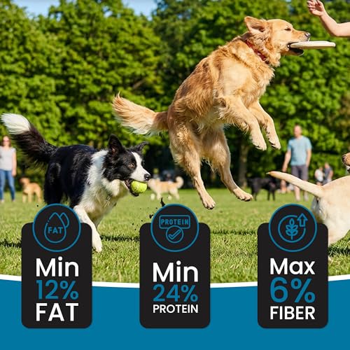 Image of Dr. Pets 2.8 Kg Superdawg Adult Dry Dog Food Chicken & Vegetable | 24% Protein Complete Nutrition | Supports Digestion, Immunity & Coat Health