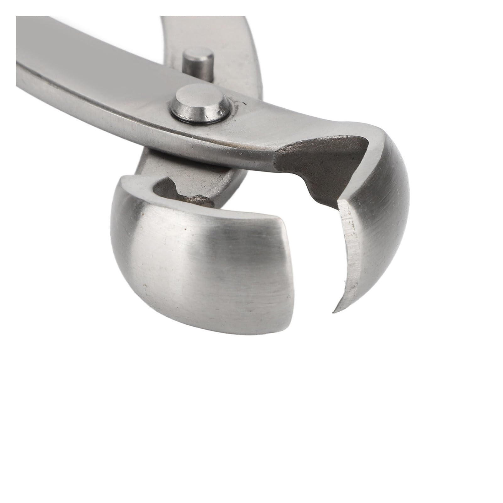 ESESE Cesoia concava Professionale for Bonsai da 11,6 Pollici, Forbici for potatura di Rami in Acciaio Inossidabile for Giardinaggio, Alberi, modellatura di Bonsai, Strumento di rifinitura