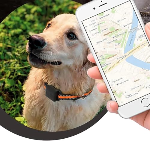 Cerca eléctrica para mascotas, collar con rastreador GPS para perros y gatos, impermeable y recargable, monitor de actividad para mascotas