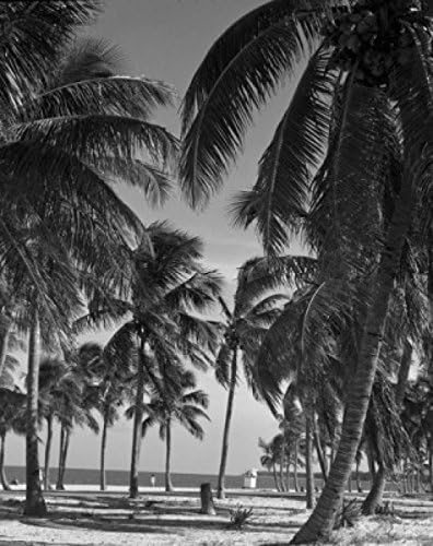 EE. UU. Florida near Miami Key biscane Póster de (24 x 36)