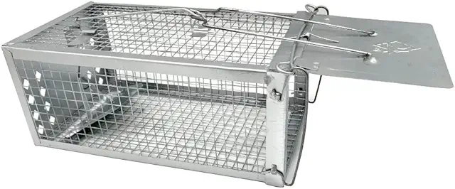 Cage à Rat ANIMOOD - Piège Réutilisable pour Souris et Rongeurs sans Cruauté