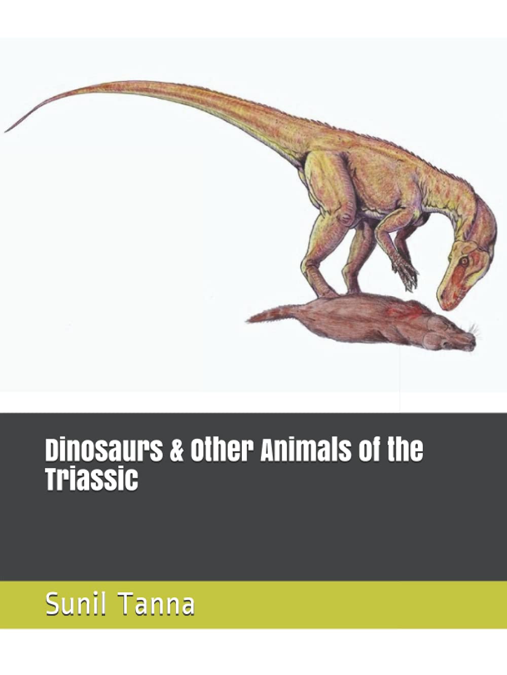 Dinosaurs & Other Animals of the Triassic      Hardcover – June 18, 2021