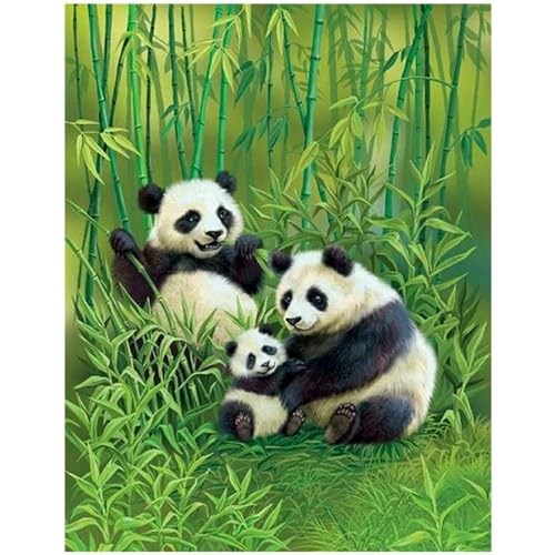 Cuadro de diamantes cuadrados para niños panda 40x50cm piedras cuadradas cuadros diamantes 5d para hacer imitación 5D familia de oso panda para pintar por números bordado de diamantes decor y regalo