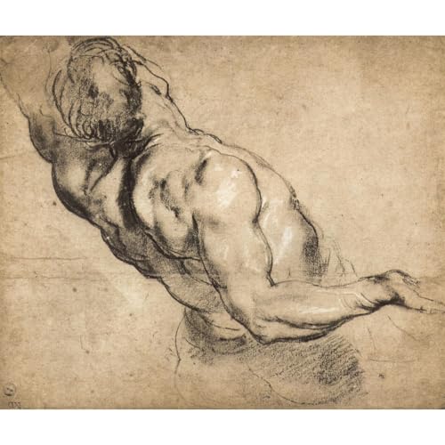 Poster Study of Man's Torso Rubens grand format 76 x 101 cm