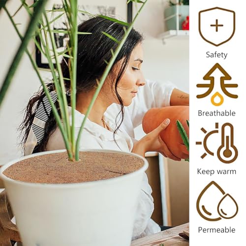 Kokosmatte Winterschutz,Kokos-Mulchscheibe,Kokosscheibe,Kokosmatten,Durchmesser Kokosmatte,Kokos Pflanzenschutz,Rund Kokosmatte Winterschutz,für Kübelpflanzen im Garten Gegen die Kälte,Ø20cm,2 Stück – Bild 4