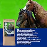 HAPPY HORSE Gastro Heucobs | 2 x 14kg | Schnell einweichende Heucobs für Pferde | Stärkearm & Melassefrei | Hochverdaulich mit Kräutern | Heucobs für ältere Pferde & bei Zahnproblemen