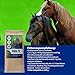 HAPPY HORSE Gastro Heucobs | 2 x 14kg | Schnell einweichende Heucobs für Pferde | Stärkearm & Melassefrei | Hochverdaulich mit Kräutern | Heucobs für ältere Pferde & bei Zahnproblemen