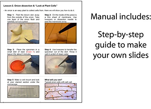 Rs' Science 30 Ml (1 Oz) Methylene Blue And Eosin Y Solutions In Amber Glass Dropper Bottles (For Microscopy) #TOP5
