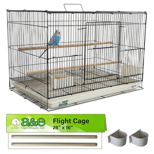 A&E Cage Co 503 Flight Cage – 24"x16"x16" Small Bird Cage with Slide-Out Tray, Wood Perch, Dual Feeding Stations & Carry Handle – Black Powder Coated Cage for Finches, Canaries & Small Birds