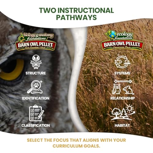 Image of Barn Owl Pellets for Dissection for Classrooms, Small 20-Pack Kit by OBDK | Forceps, picks and instructor guide included, life science and ecology, bone sorting chart, hands-on lab activity