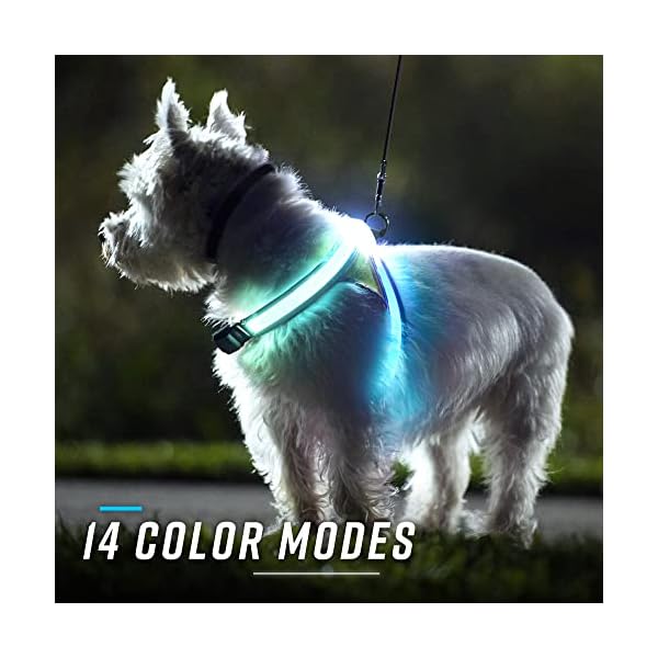 noxgear-LightHound--Revolutionary-Illuminated-and-Reflective-Harness-for-Dogs-Including-Multicolored-LED-Fiber-Optics-USB-Rechargeable-Adjustable-Lightweight-Rainproof USB Rechargeable Harness for Dogs