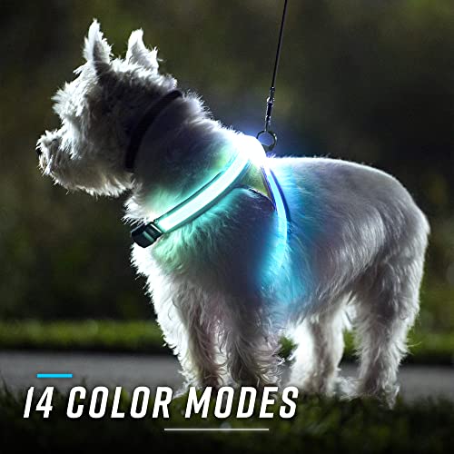 Image of Noxgear LightHound (Large) + High-Visibility Dog Leash - Illuminated and Reflective Harness for Dogs Including Multicolored LED Fiber Optics (USB Rechargeable, Adjustable, Lightweight, Rainproof)