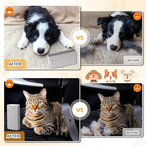 2 Stück Bimsstein, Tierhaarentferner für Haustiere, Fußpflege Werkzeug und Teppich Hundefell Entfernung