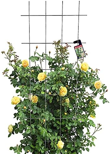 KADAX - Malla de metal para jardín, balcón y terraza - Tutor para...