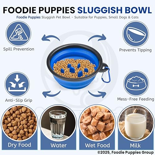 Image of Foodie Puppies Collapsible Slow Feeding Silicone Foldable Bowl for Small Dogs & Puppies - (Sluggish Bowl, 350ml) (Pack of 2), Pet Feeding Watering Dish for Walking, Traveling with Carabiners