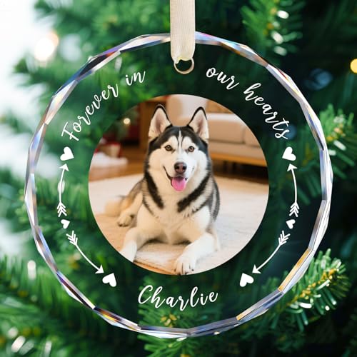Custom Pet Memorial Gifts for Loss of Dog Cat Personalized Forever in Our Hearts Dog Memorial Ornament with Photo Name & Date Sympathy Gifts Keepsake for Pet Lovers Crystal S2