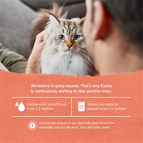 Purina Beyond Wild Alaskan Salmon And Sweet Potato Recipe In Wet Cat Food Gravy - (12) 3 Oz. Cans #TOP5