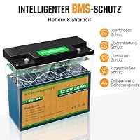 ECO-WORTHY LiFePO4 Batterie 12V 30Ah mit BMS Schutz und Max. 15000 Zyklen,384Wh Lithium Camping Batterie 12V 30Ah für Wohnmobile,Trolling-Motor,Boot – Ansicht 3