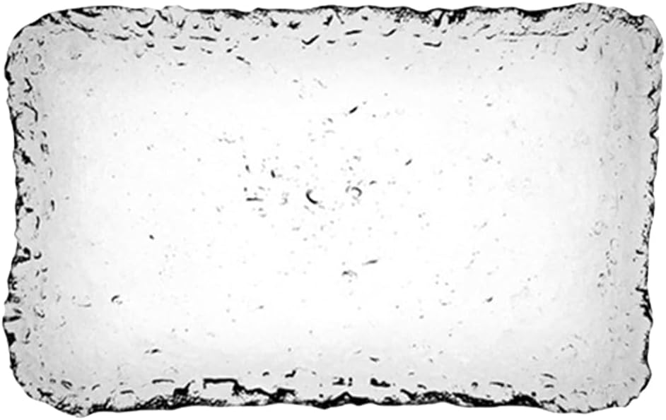 Plato de Vidrio Rectangular SHOWERORO para Sushi y Postres