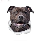 CRAFTIOS Autocollant 3D Happy Staffie Dog, pour Murs, Voitures, Toilettes, Réfrigérateur, 20cm
