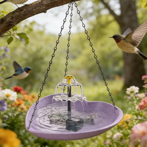 Fontaine solaire pour bain d'oiseaux extérieur violet suspendu en cœur