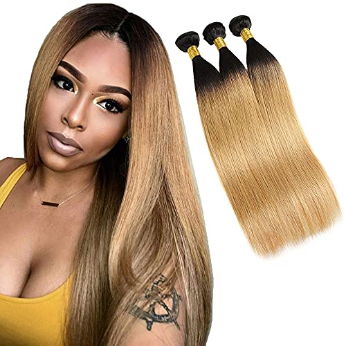 WunnSvm 1b/27 Human Hair Bundles Ombre Straight Hair Bundles 2 Tone Ombre Blonde Peruvian Human Hair 3 Bundles Straight 1b/27 Colored Virgin Hair Bundles(24 26 28)Inch