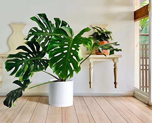 14 Inch White Plastic Planter Pots For Plant Pot With Drainage Hole And Seamless Saucers, 74-O-Xl-1 #TOP6